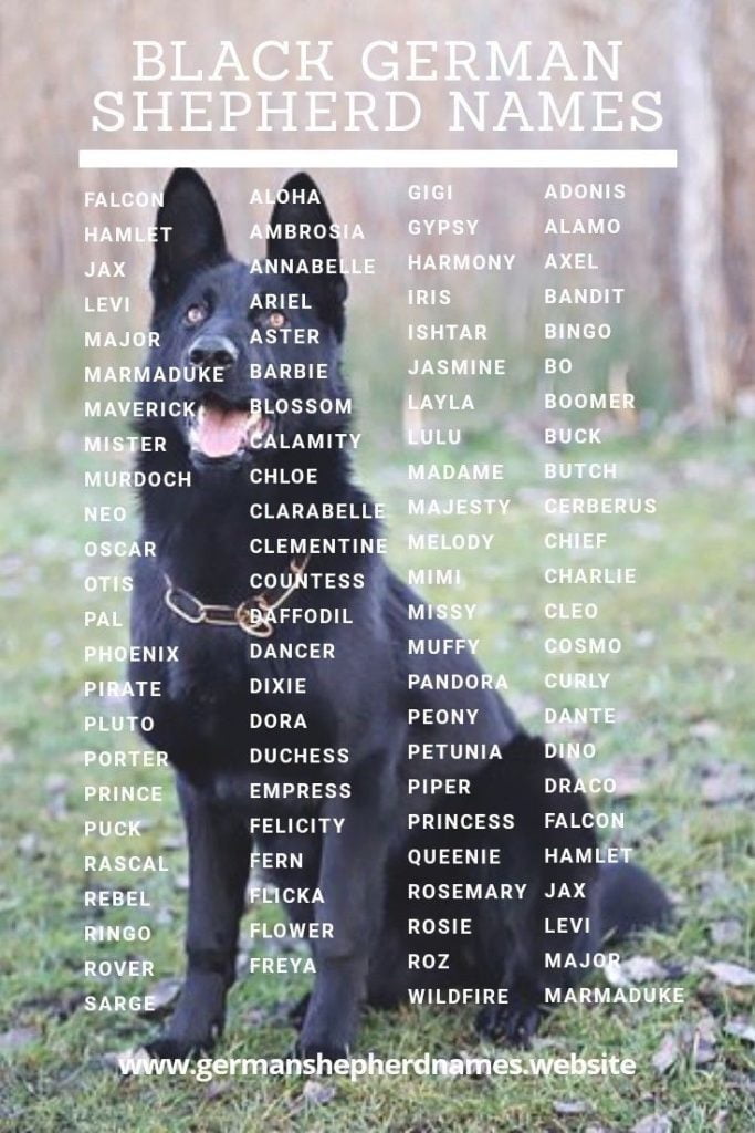 best name for black german shepherd