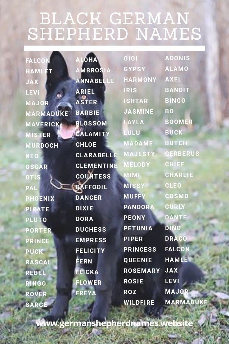 best name for black german shepherd