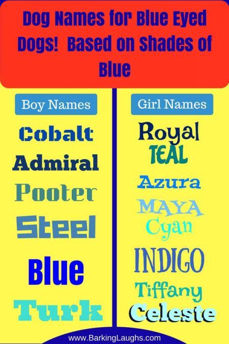 best name for dog with blue eyes