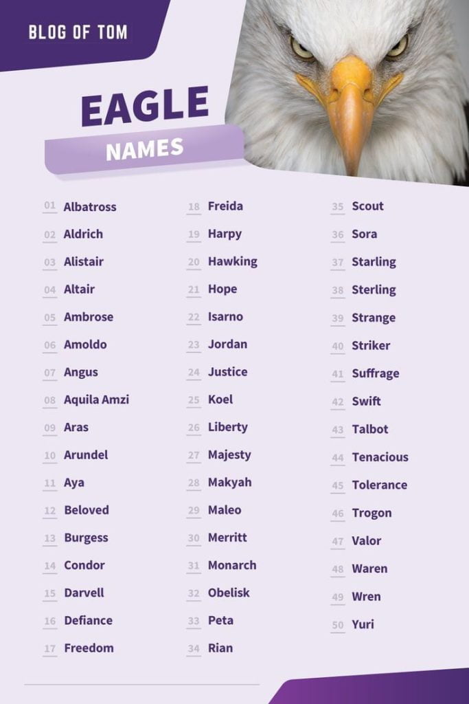 best name for eagle