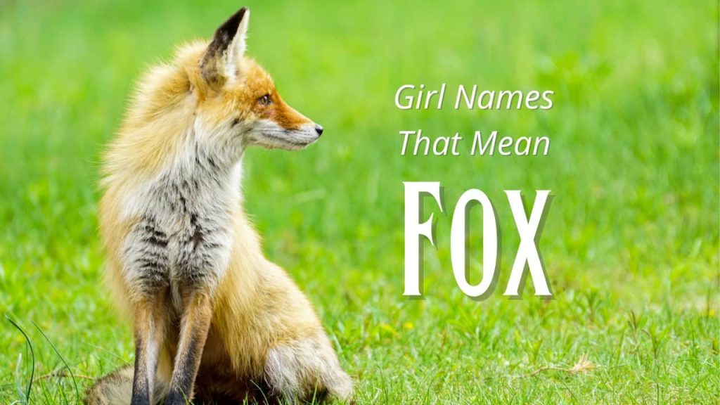 best name for female fox