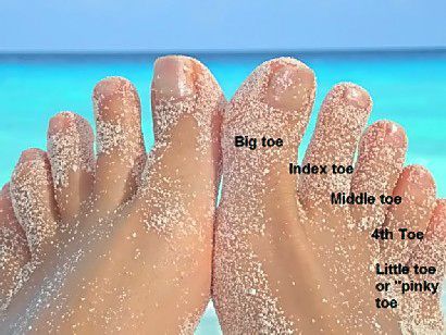 best name for fingers and toes