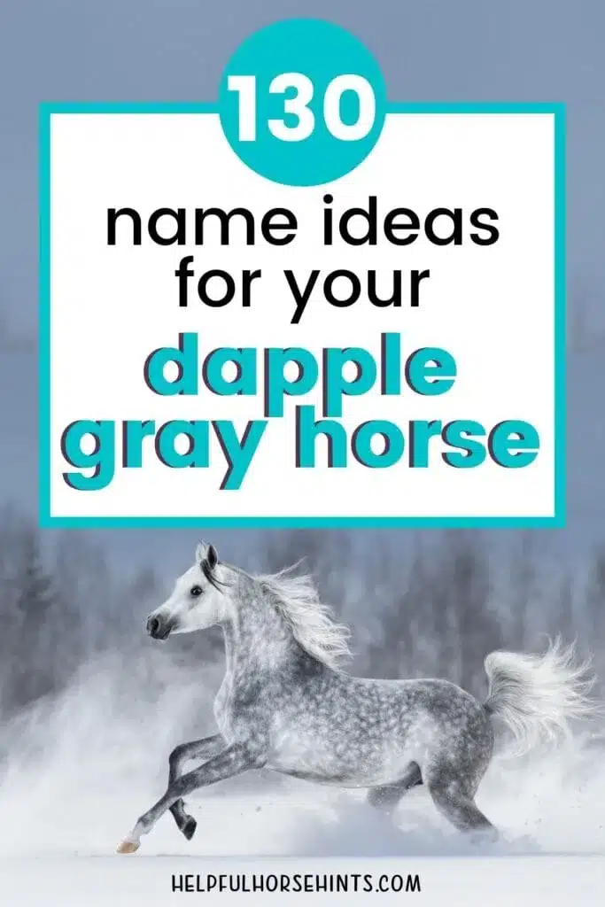 best name for grey horse