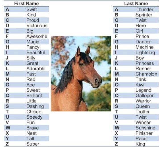 best name for group of horses
