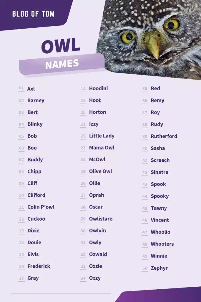 best nickname for owl
