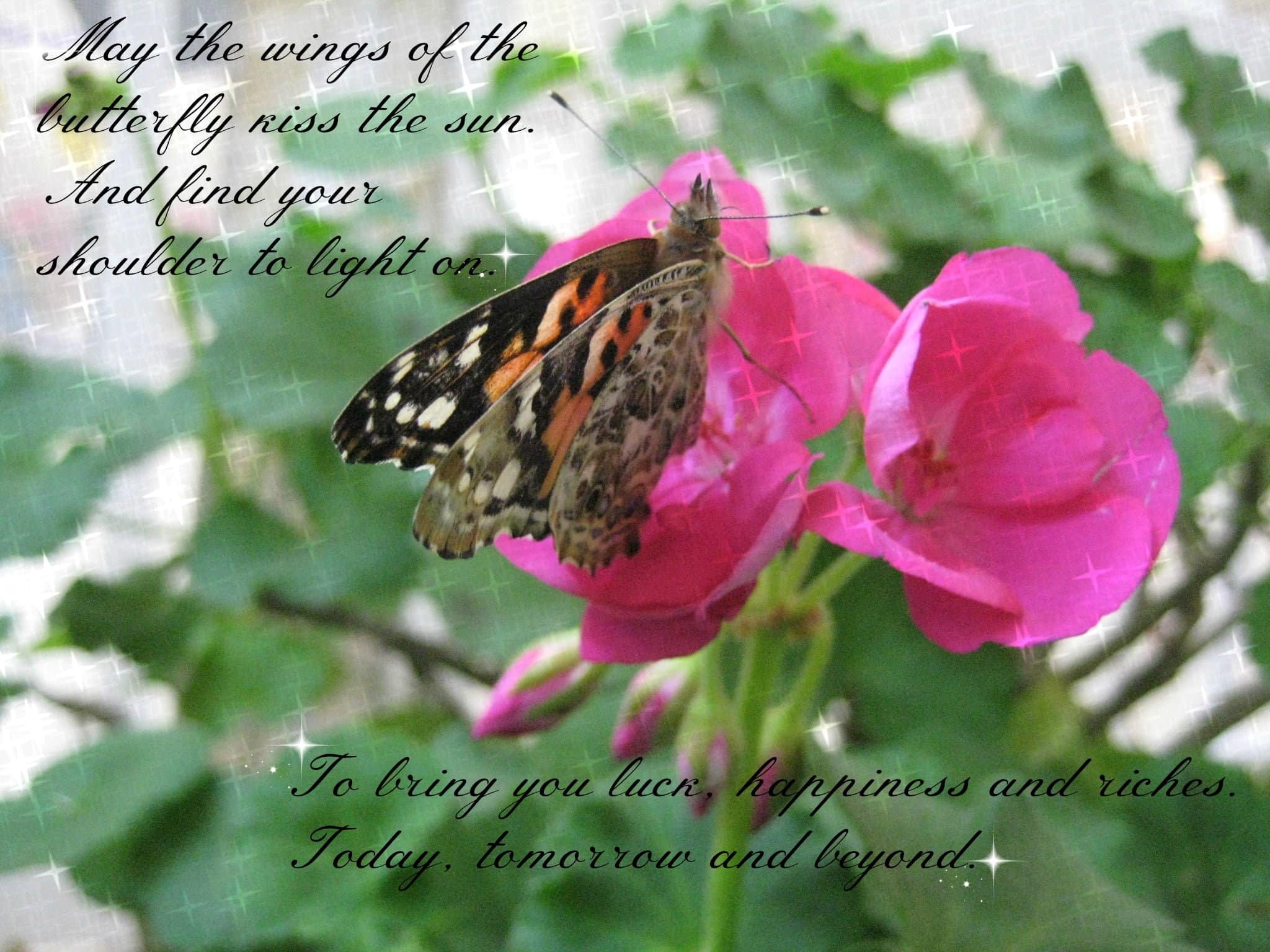 best simple short butterfly poems