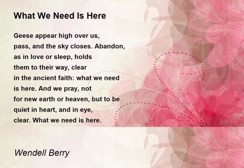 best wendell berry poems what we need is here