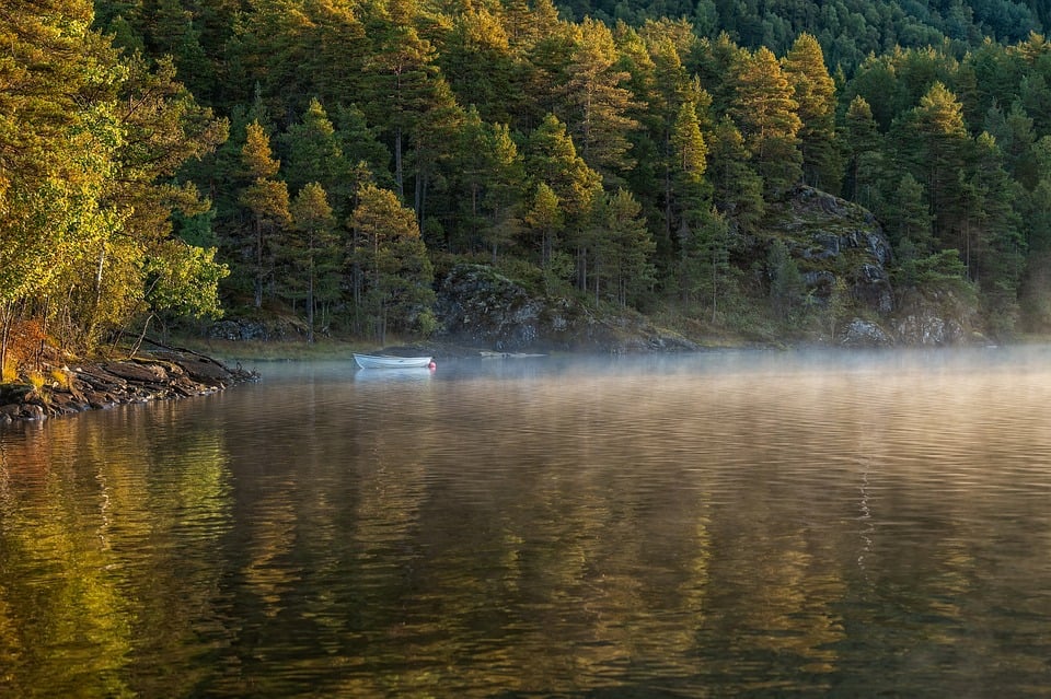 Best quotes about grizzly bears