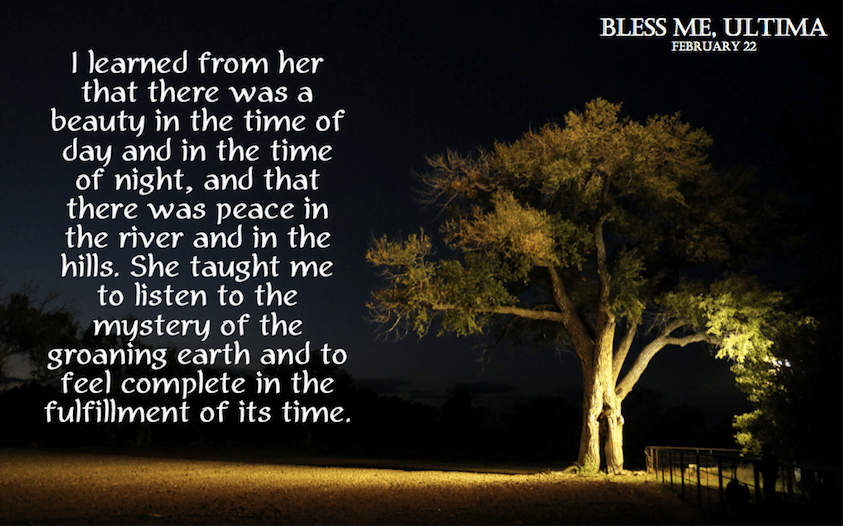 best bless me ultima quotes