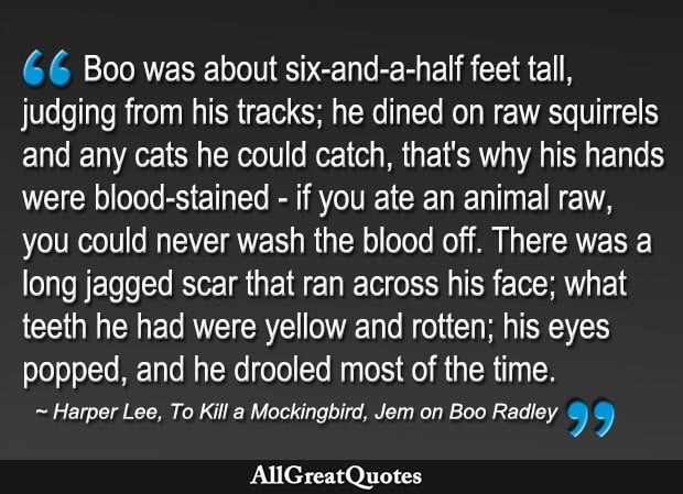 best boo radley quotes and page numbers