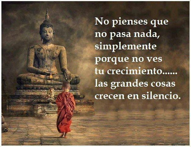 best buddha quotes in spanish