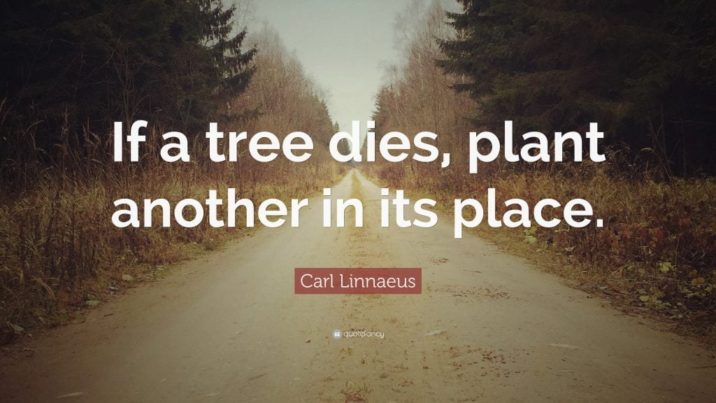 best carl linnaeus quotes scaled