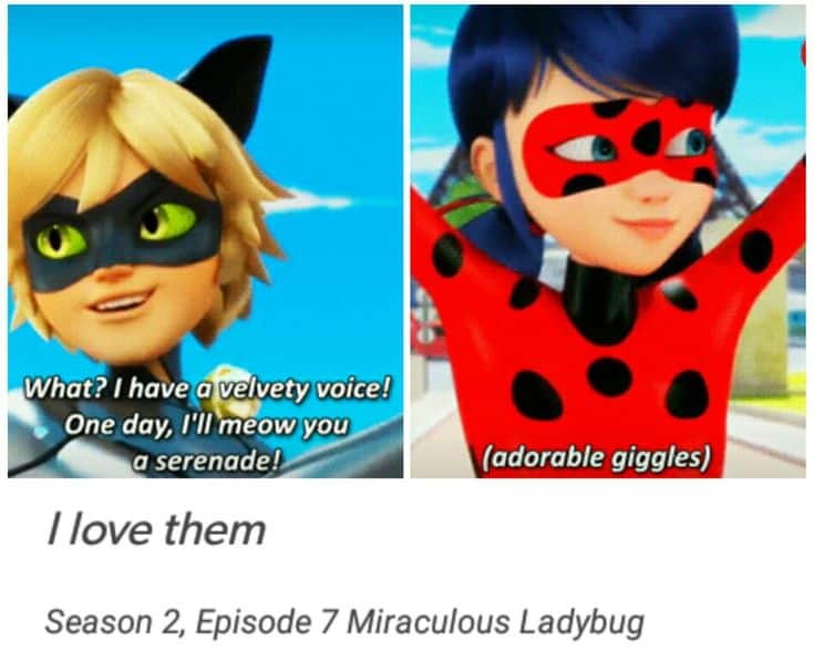 best cat noir quotes