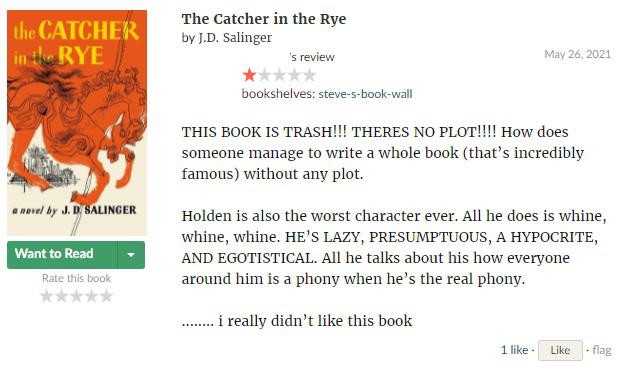 best catcher in the rye questions