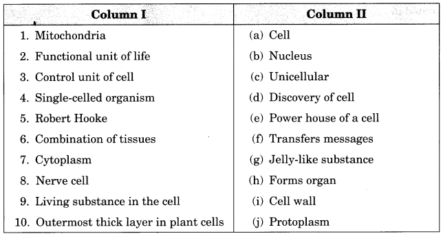 best cell questions and answers