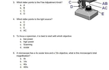 best cell theory questions