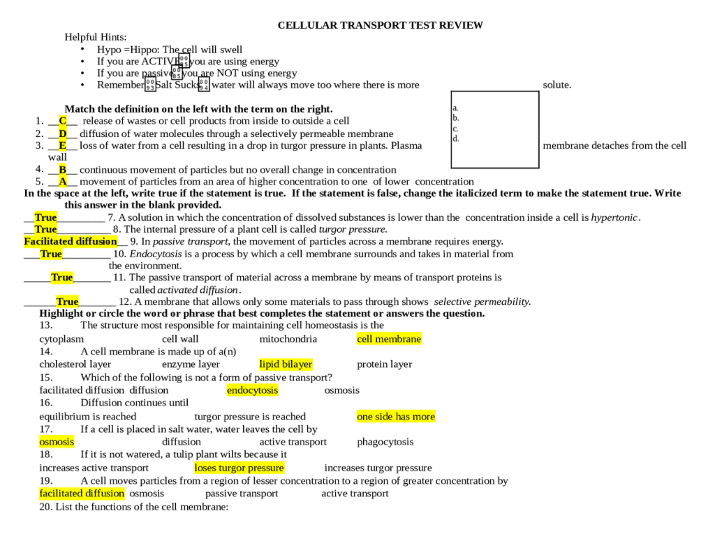 best cell transport questions