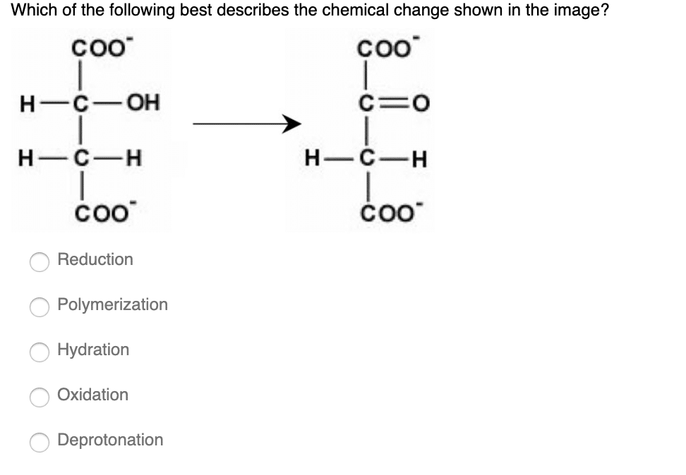 best chemical change questions