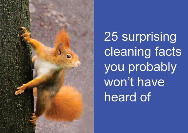 best cleaning trivia questions