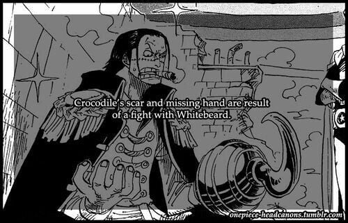 best crocodile quotes one piece
