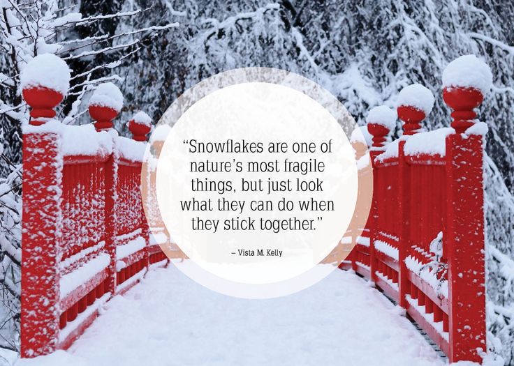 best cute winter quotes