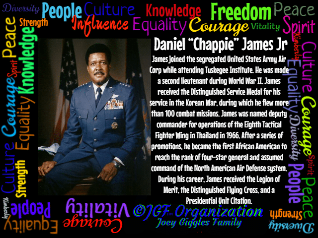 best daniel chappie james jr quotes