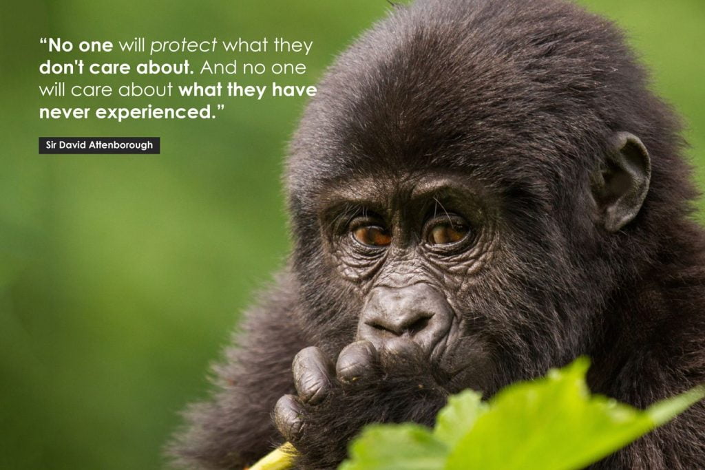 best david attenborough quotes