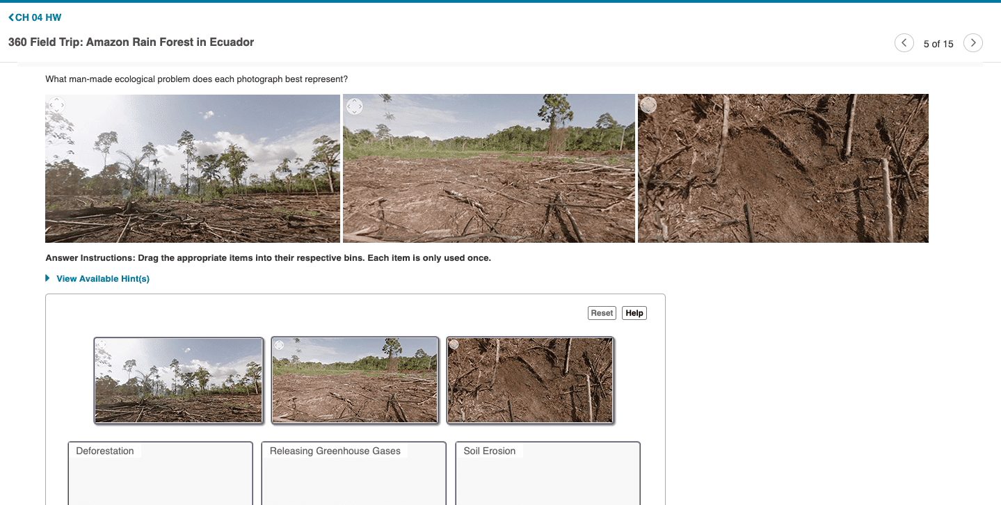 best deforestation questions