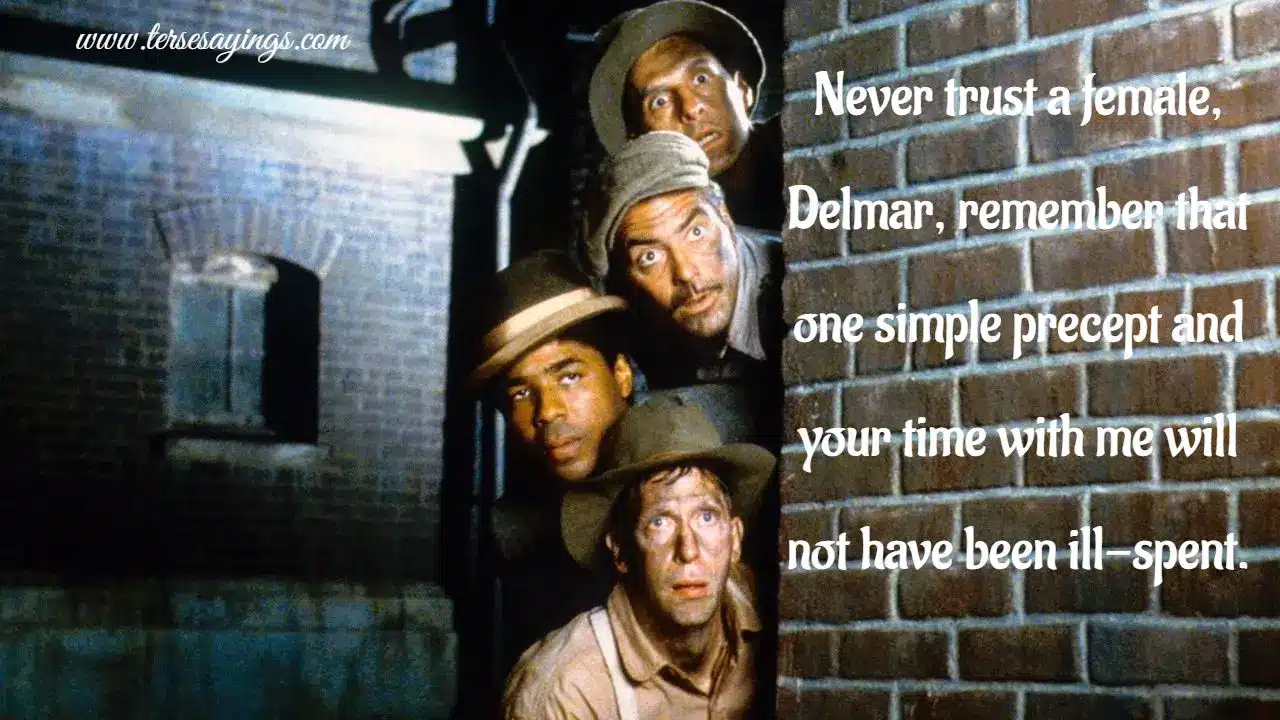 best delmar o brother where art thou quotes