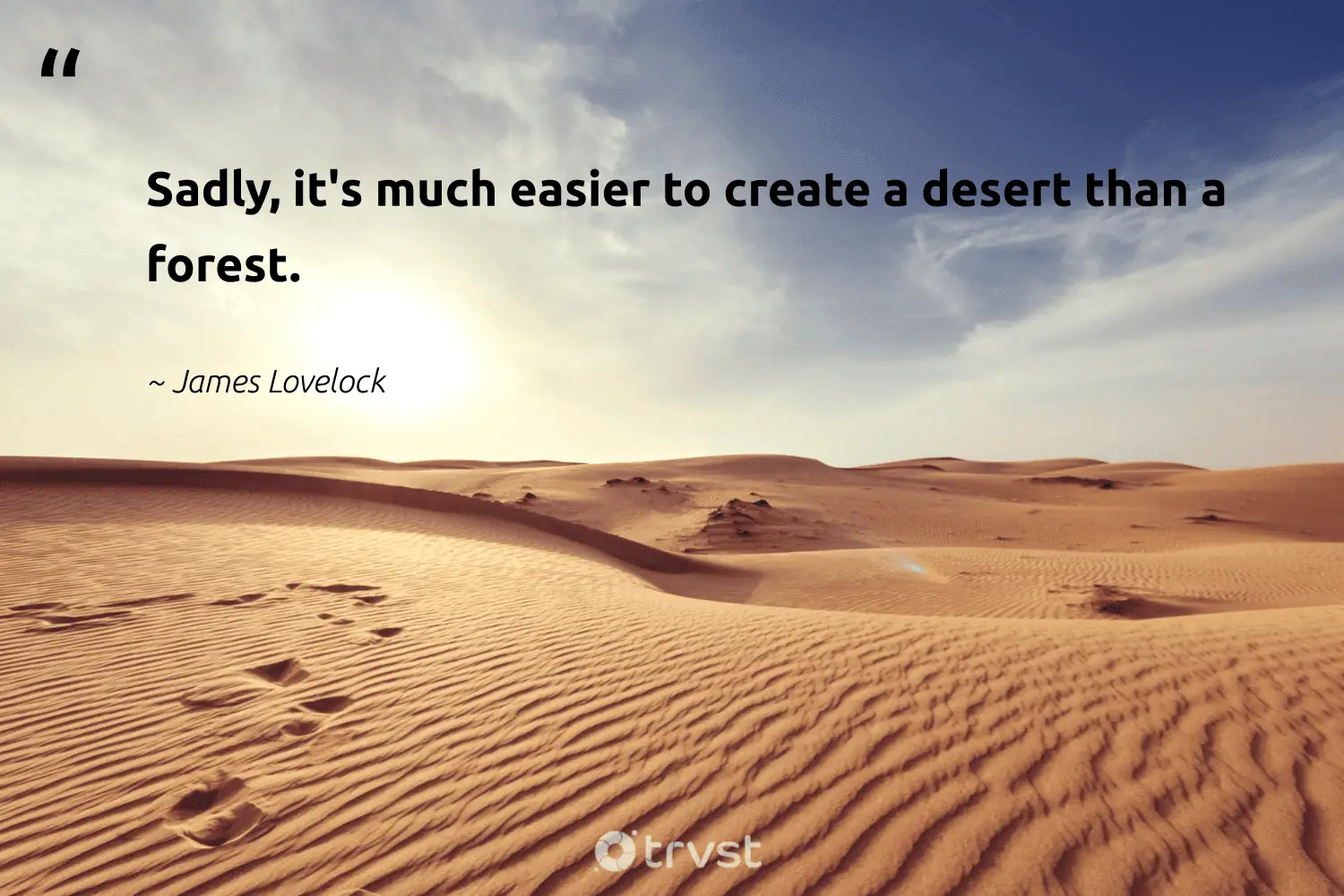 best desert quotes