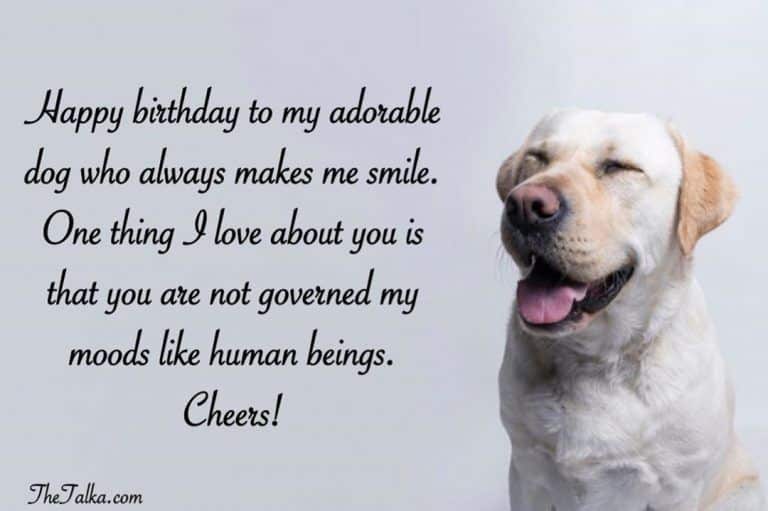 best dogs birthday quotes