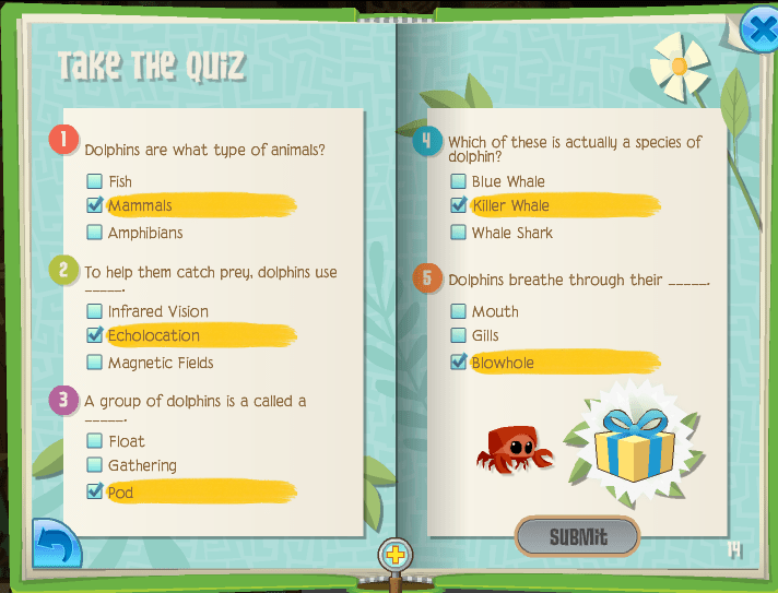 best dolphin questions