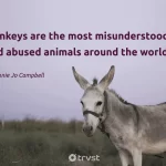 best donkey quotes