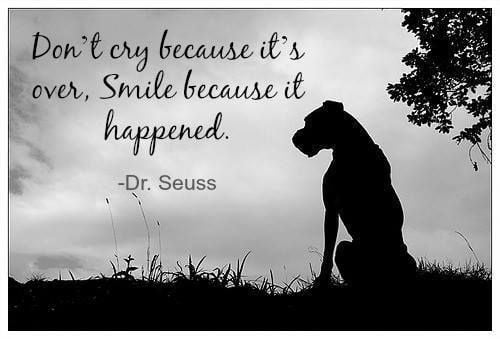 best dr seuss death quotes