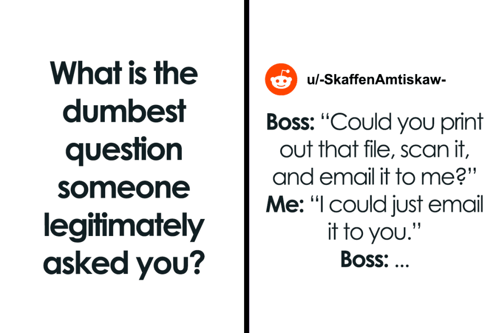 best dumbass questions