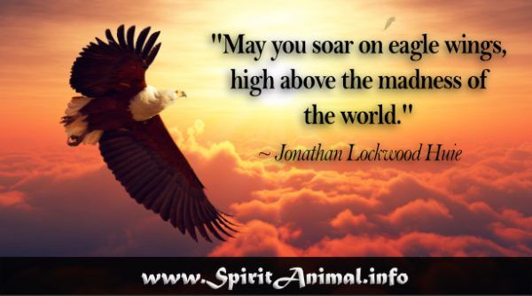 best eagle quotes for instagram