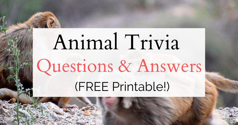 best easy animal quiz questions and answers