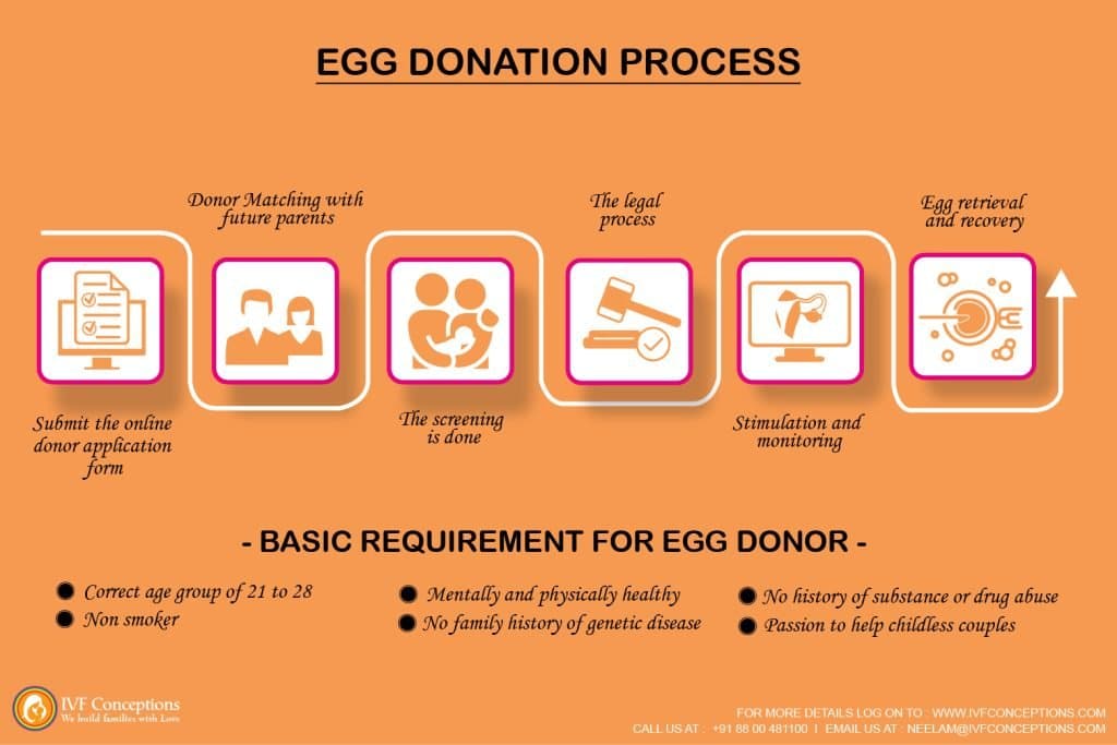 best egg donation questions