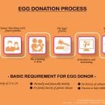 best egg donation questions