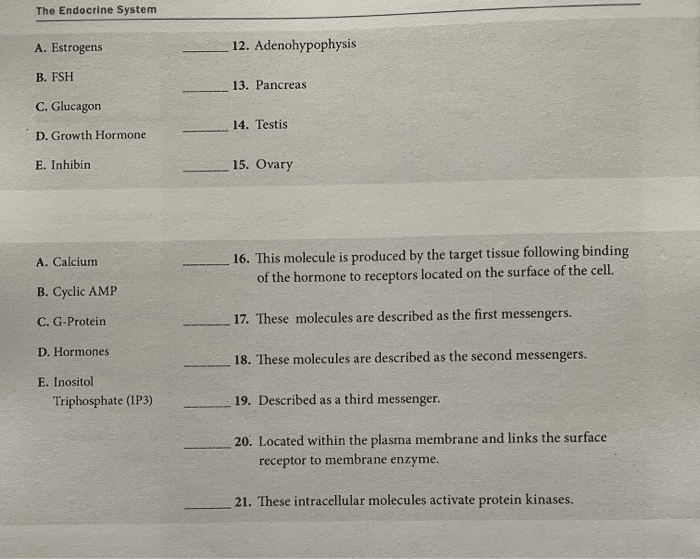 best endocrine questions