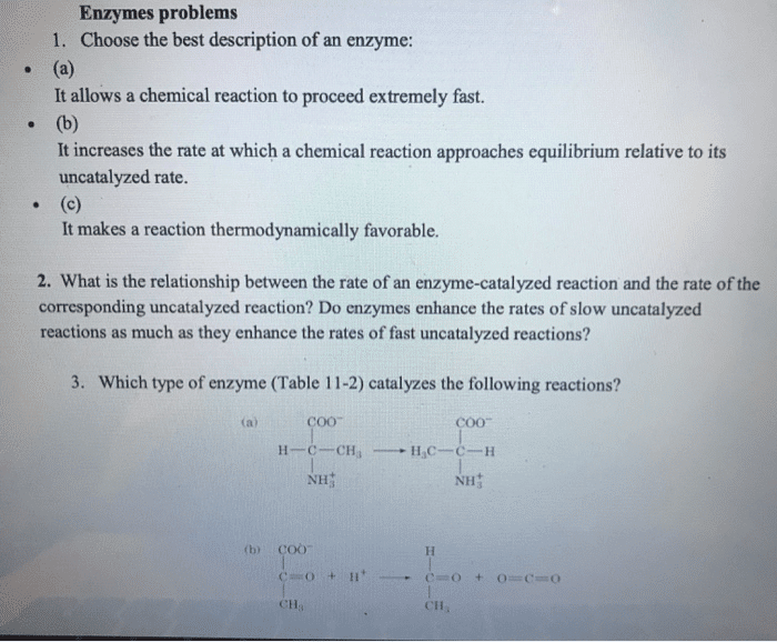 best enzyme questions
