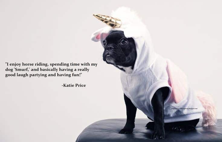 best funny animal with quotes