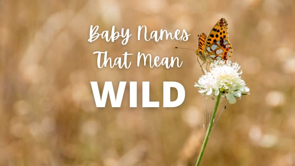 best middle name for wilder
