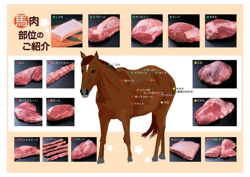 best name for horse meat