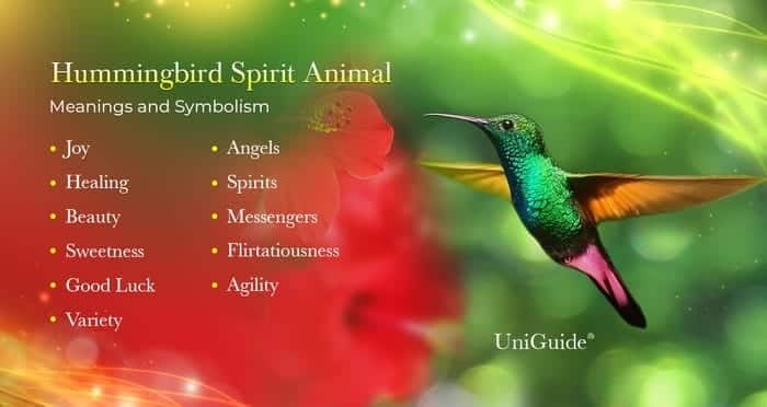 best name for hummingbird