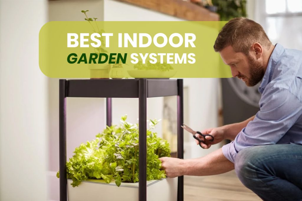 best name for indoor garden