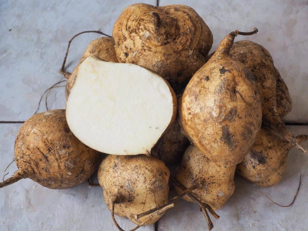 best name for jicama