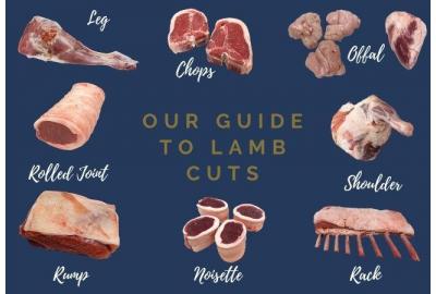best name for lamb meat