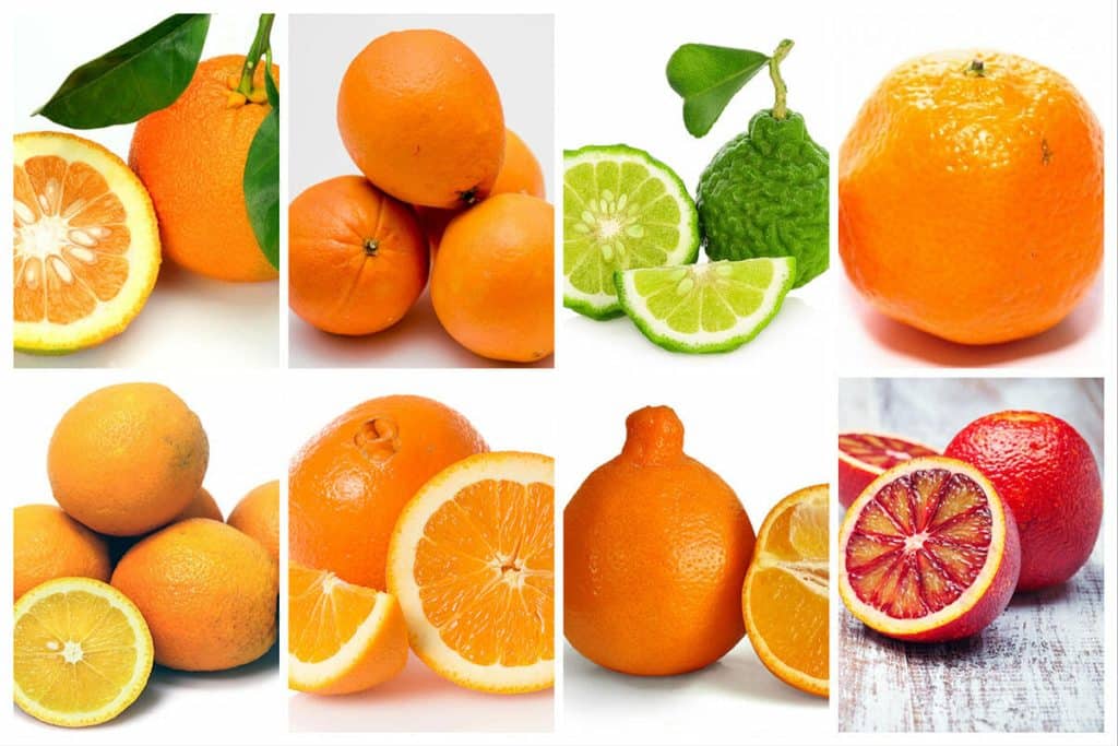 best name for orange
