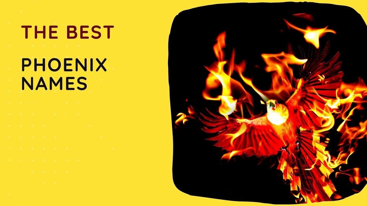 best name for phoenix